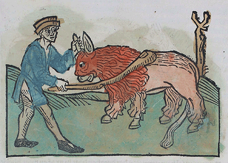 illustratie