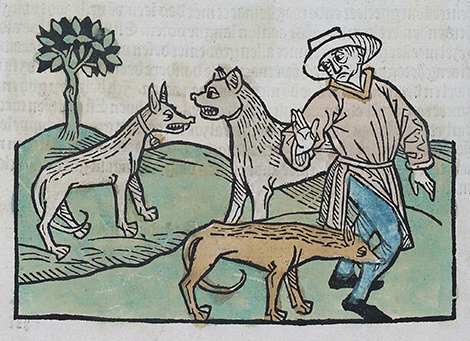 illustratie