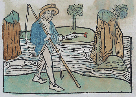 illustratie