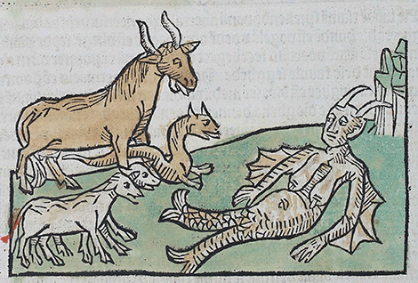 illustratie