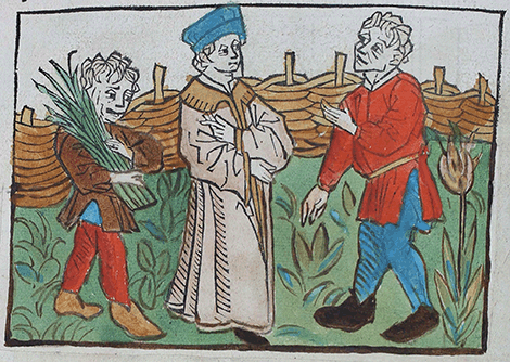 illustratie