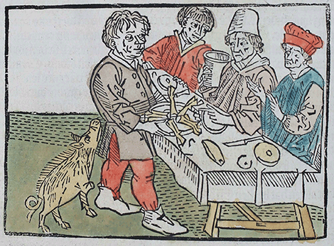 illustratie