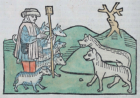 illustratie