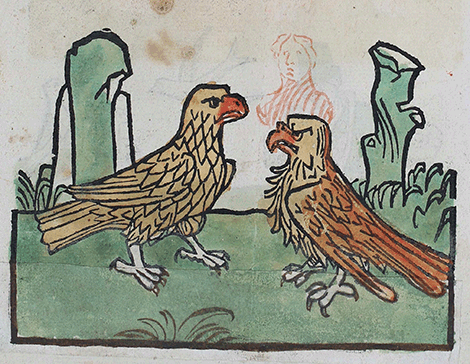 illustratie
