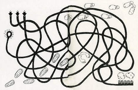 illustratie