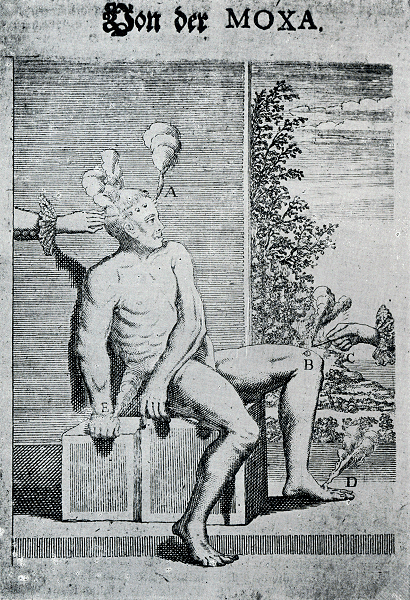 illustratie