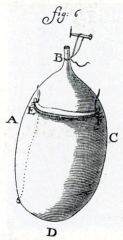 illustratie