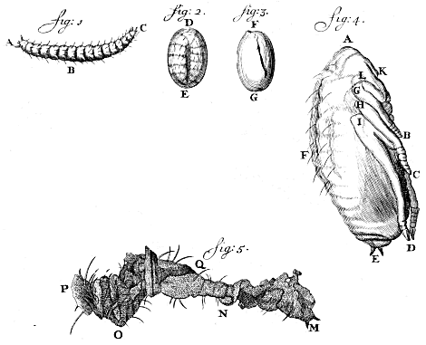 illustratie