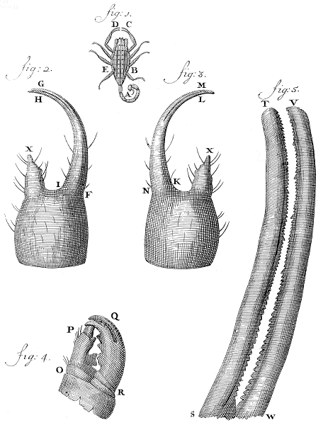 illustratie