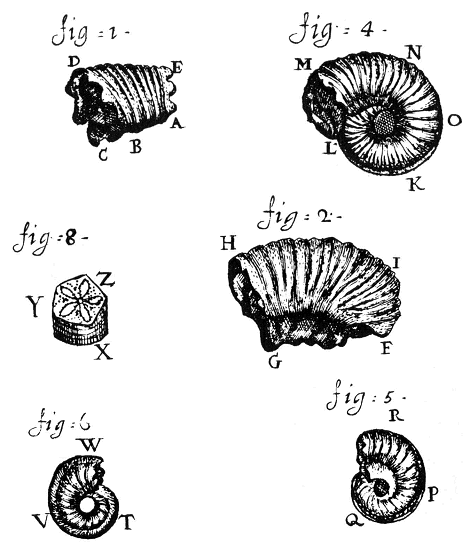 illustratie