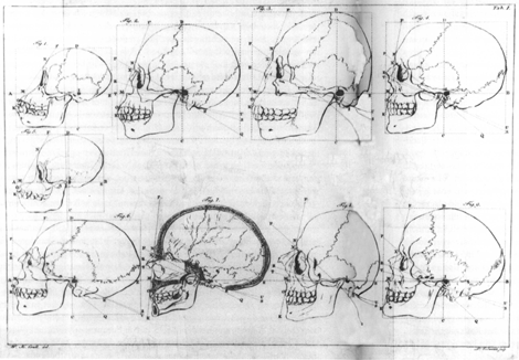 illustratie