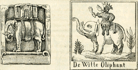 illustratie