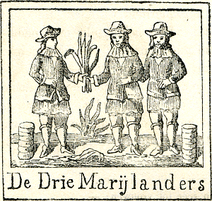 illustratie