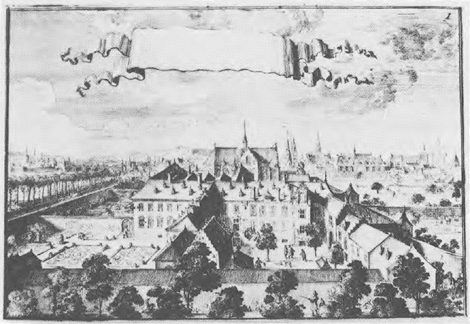 illustratie