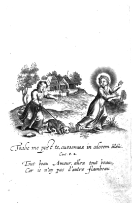 illustratie