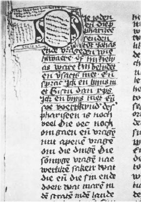 illustratie