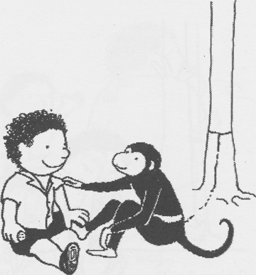 illustratie