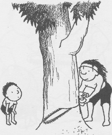illustratie