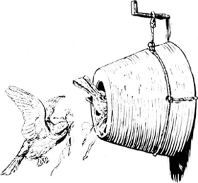 illustratie