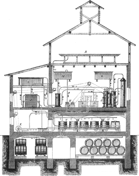 illustratie