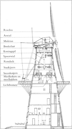 illustratie