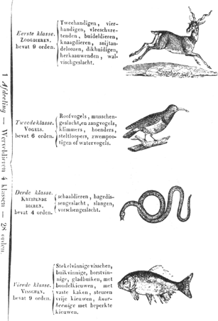 illustratie