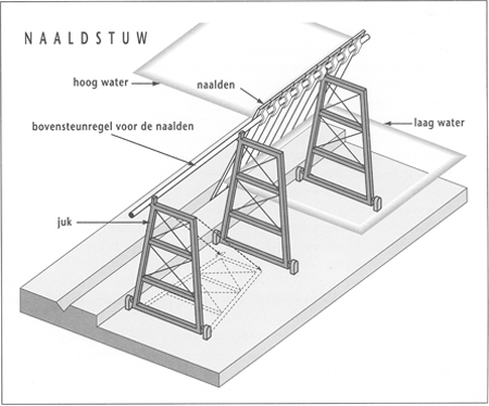 illustratie