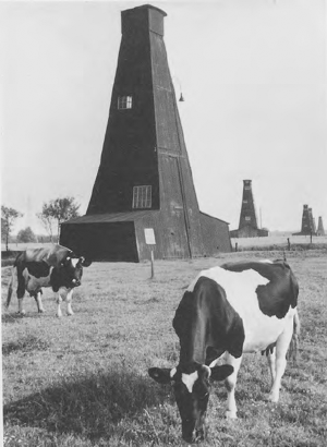 illustratie