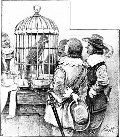 illustratie