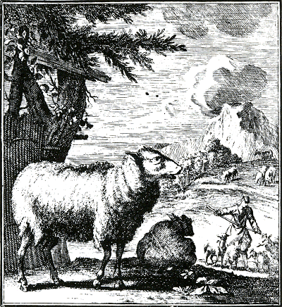 illustratie