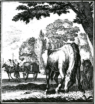 illustratie