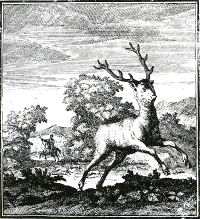 illustratie