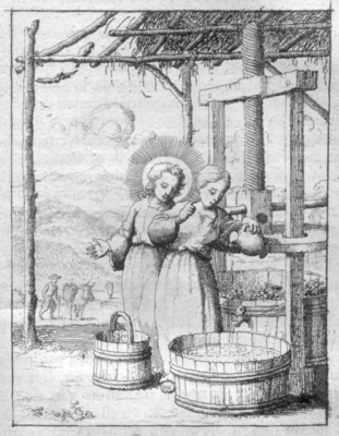 illustratie