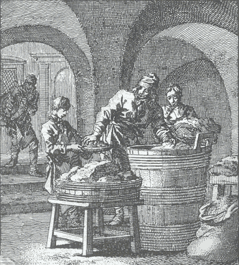 illustratie