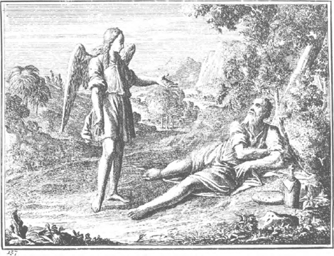 illustratie