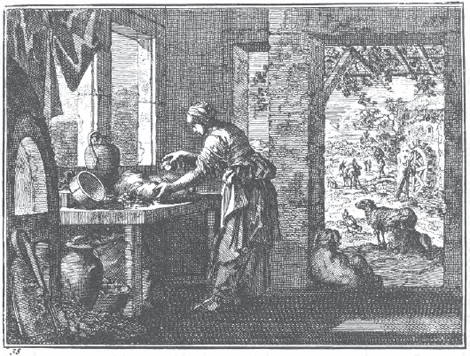 illustratie