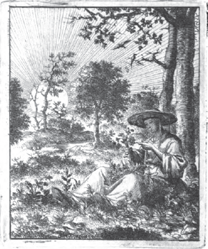 illustratie