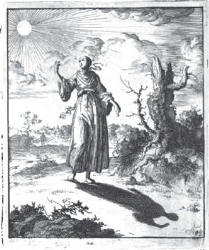 illustratie