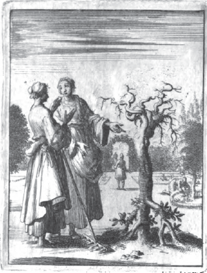 illustratie