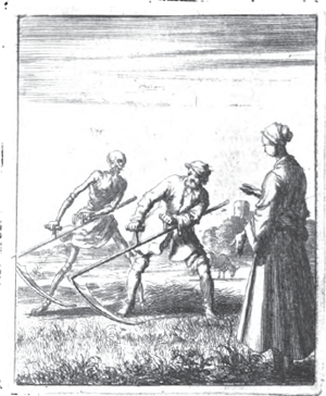 illustratie