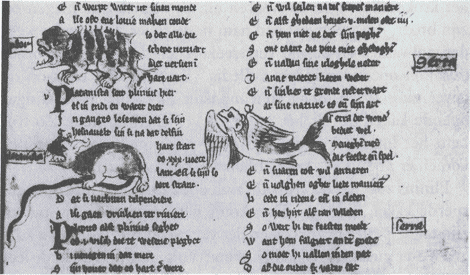 illustratie