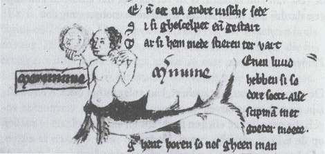 illustratie