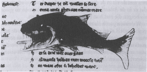 illustratie