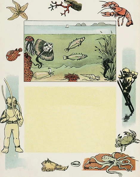 illustratie