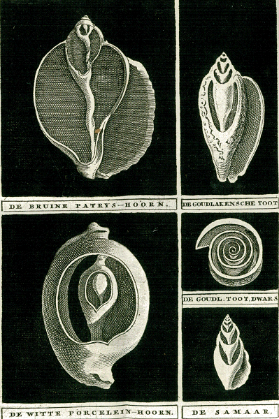 illustratie