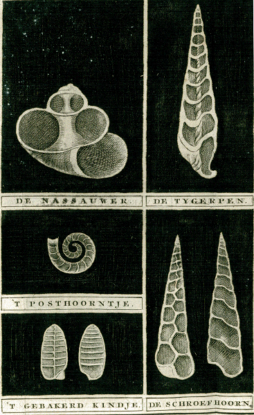 illustratie