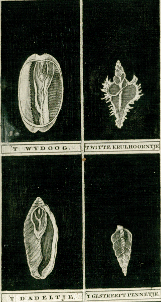 illustratie