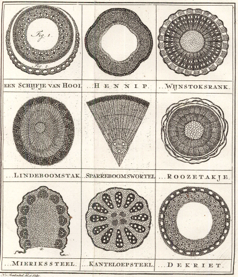 illustratie