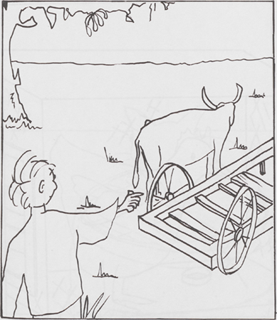 illustratie