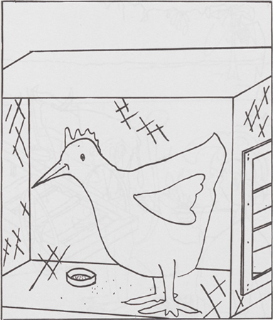 illustratie